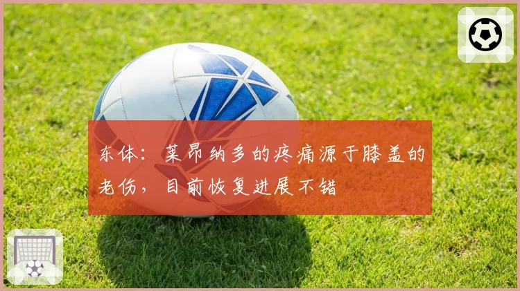 东体：莱昂纳多的疼痛源于膝盖的老伤，目前恢复进展不错